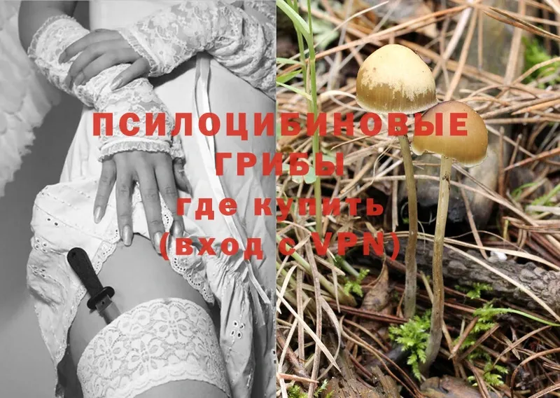 Галлюциногенные грибы Cubensis  Алапаевск 